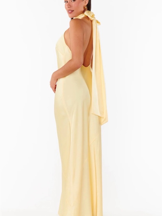 Show Me Your MuMu Dresses & Skirts - NWT Show Me Your Mumu Lisa Maxi Dress